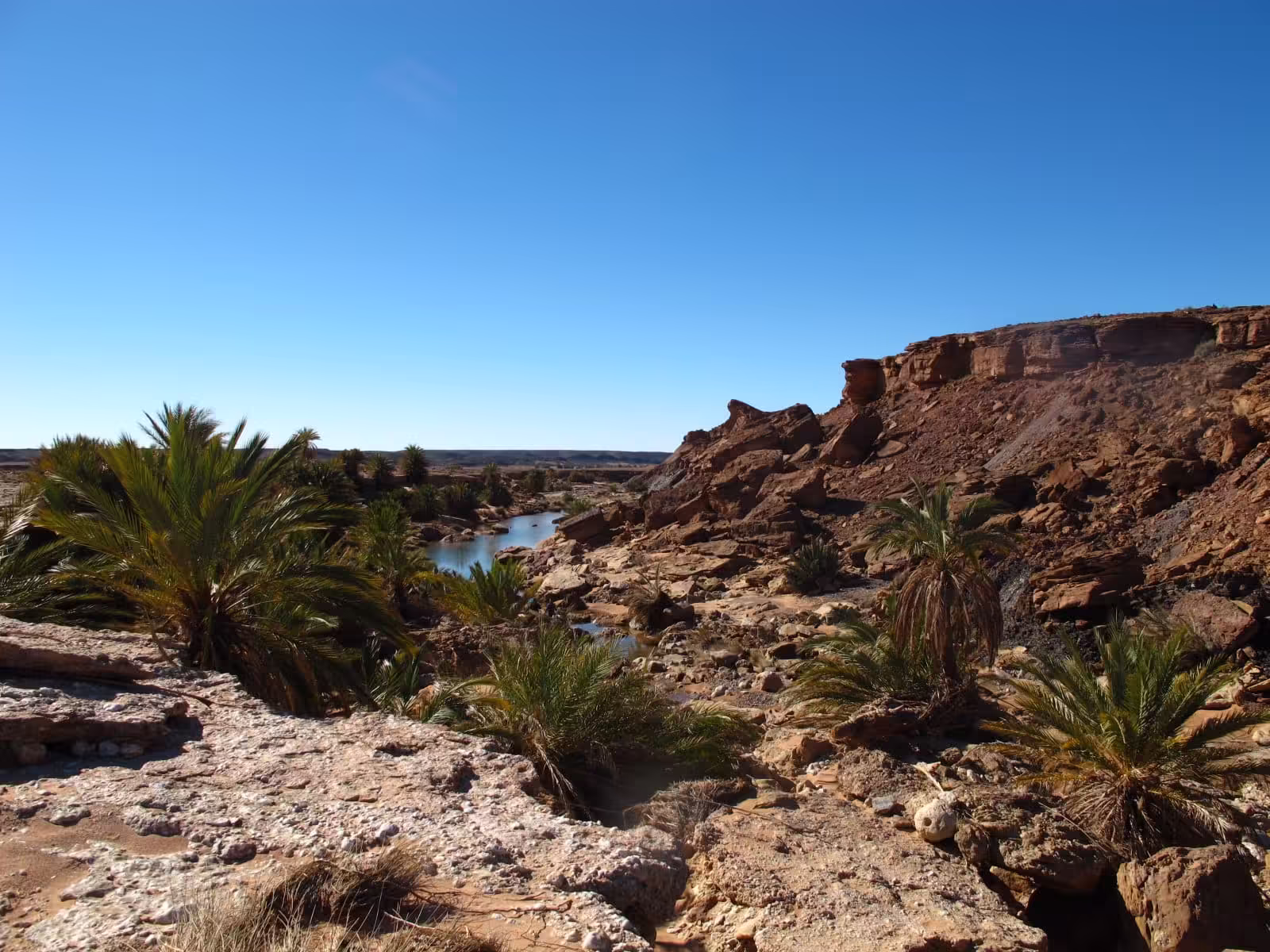 Merzouga Day Trip to Safsaf Oasis