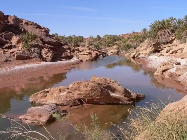 Merzouga Day Trip to Safsaf Oasis