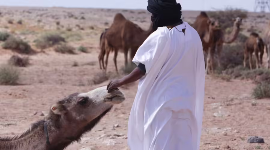 Merzouga 4×4 Excursion