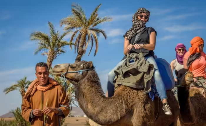 camel ride in marrakech