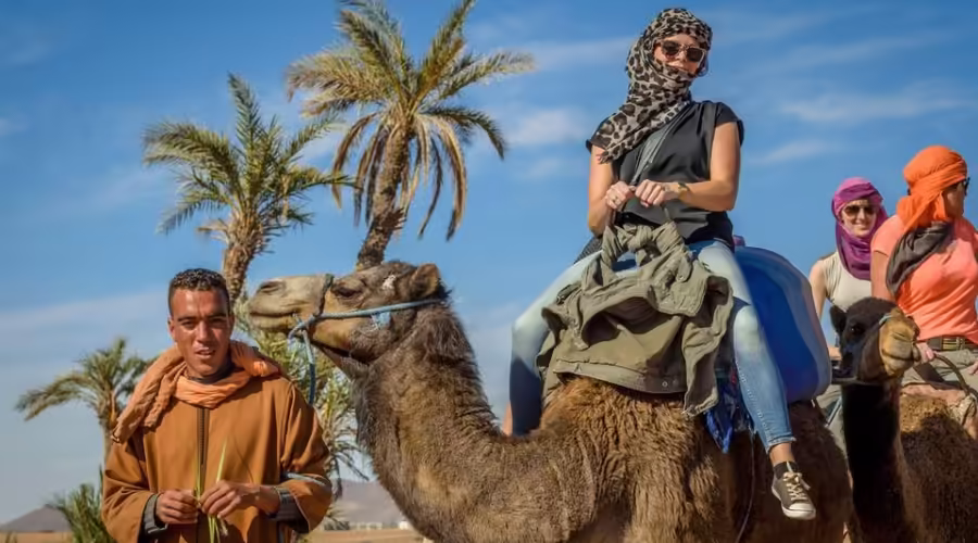 camel ride in marrakech