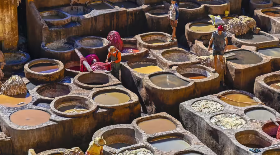Fes tannery