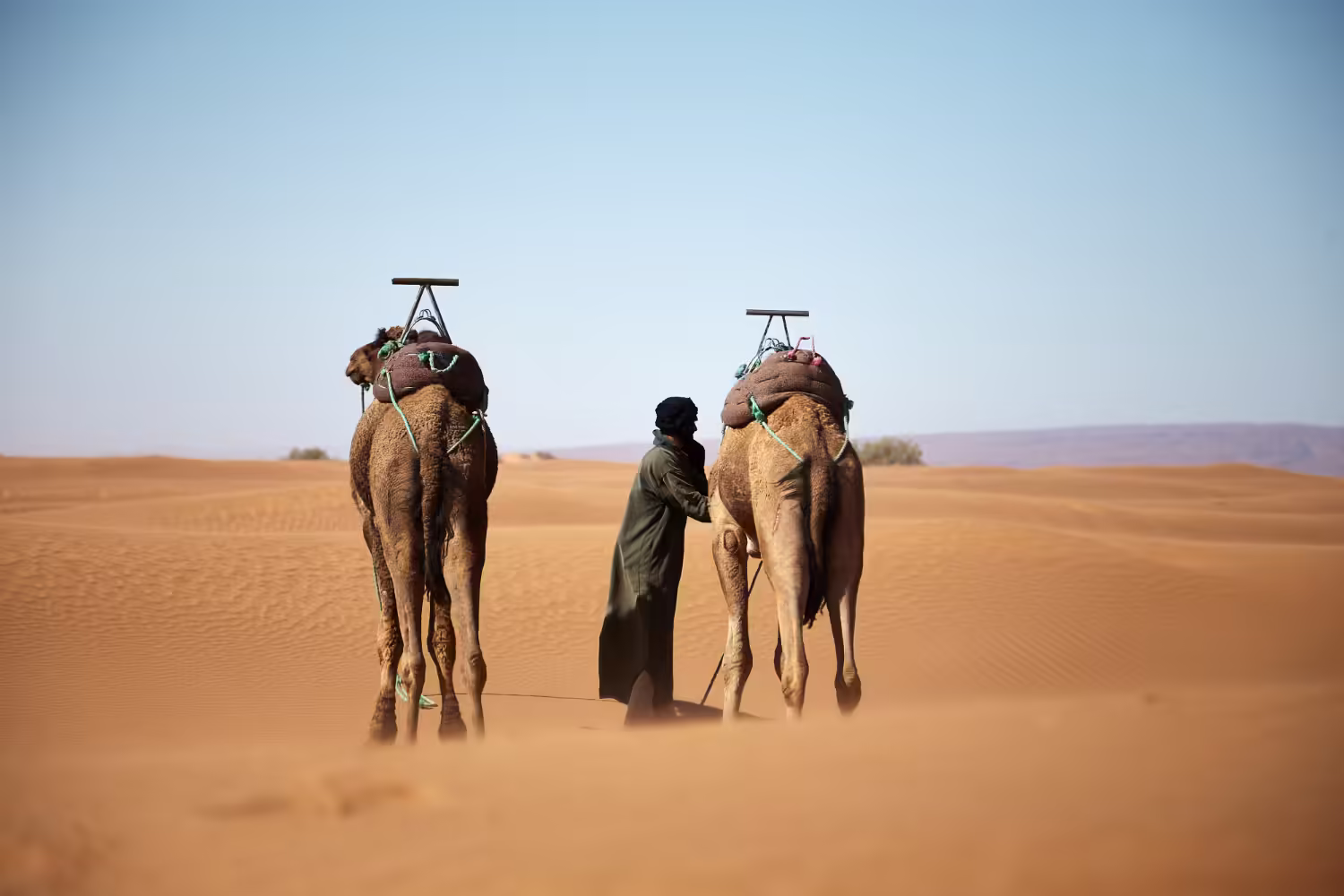 7-Day Trip Tangier to Imperial Cities