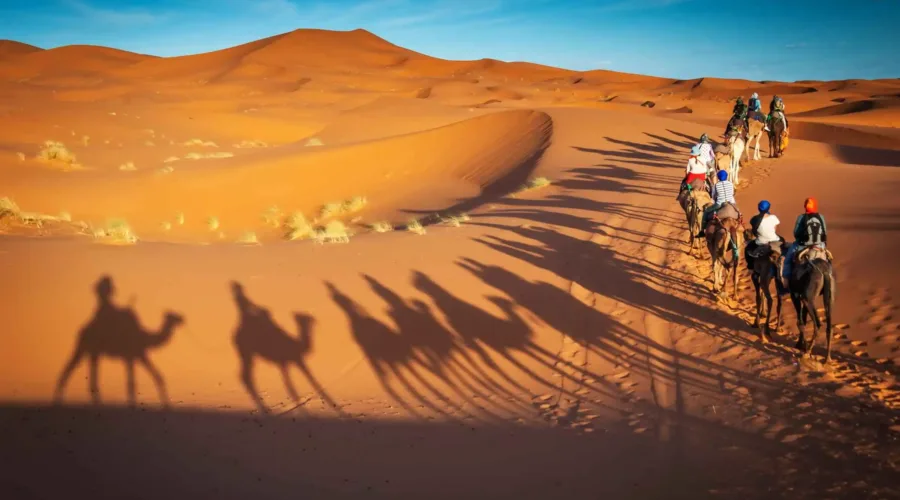 riding camels in merzouga dunes