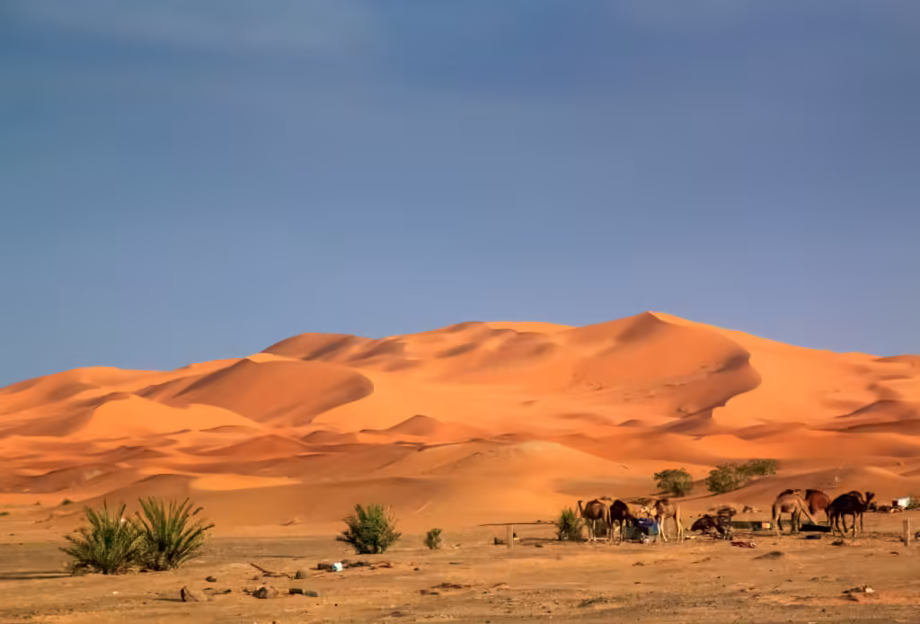 2-Day Desert Tour from Fes to Merzouga