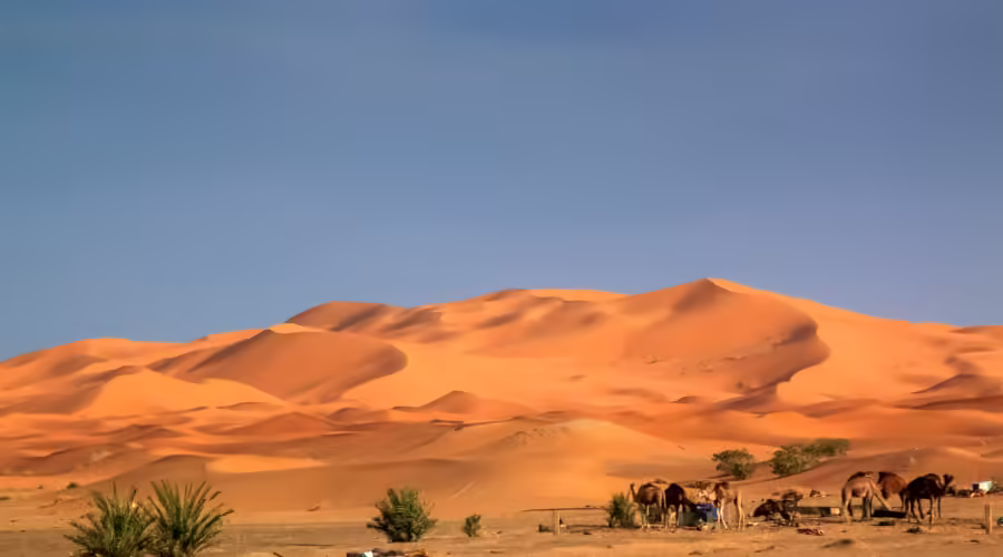 merzouga desert dunes