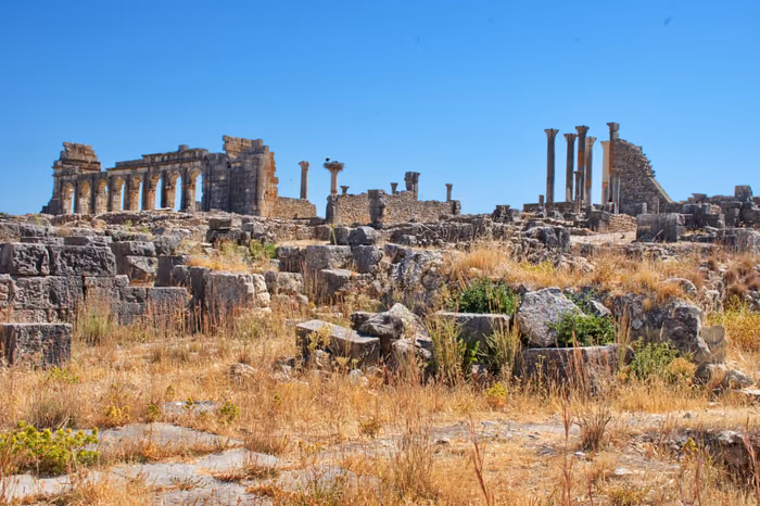 Standing columns and arches of the Roman ruins at Volubilis, Morocco