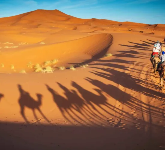 riding camels in merzouga dunes