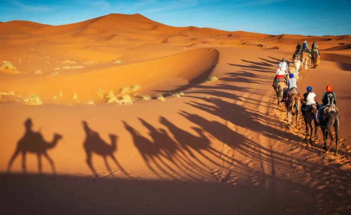 riding camels in merzouga dunes